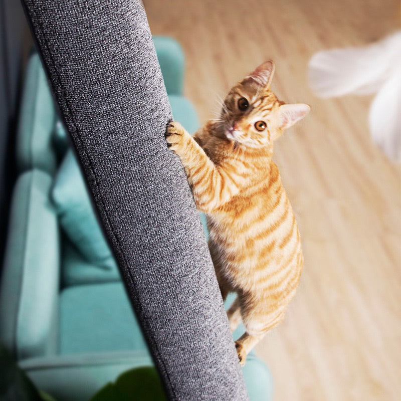 Wakupet 70 degree cat Climber Tree Condo 2m high with Hammock