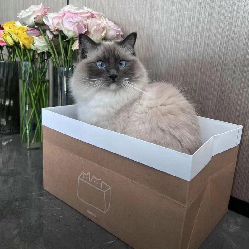 Simple Kraft Paper Bag for Cat with Scratcher Scratch Board Soft Box pet Toy Bed
