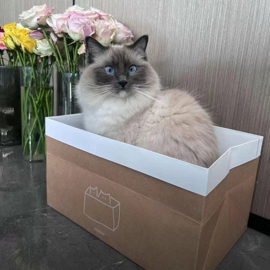 Simple Kraft Paper Bag for Cat with Scratcher Scratch Board Soft Box pet Toy Bed