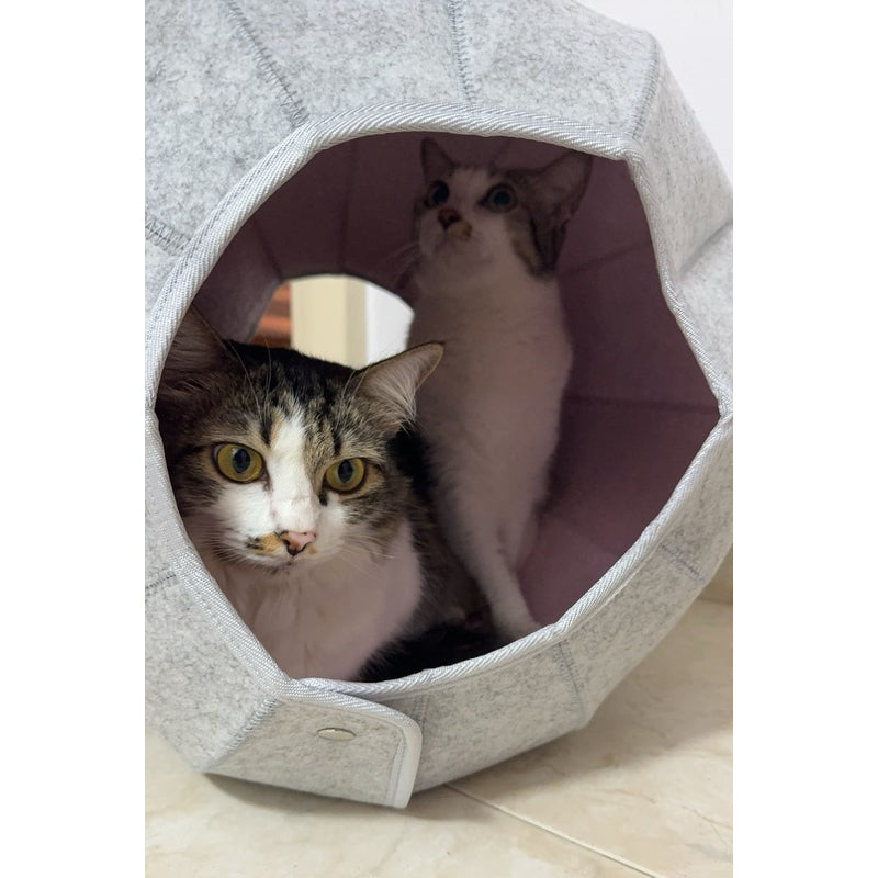 Felt Snail Cat House Multi Function Transformer Pet Bed
