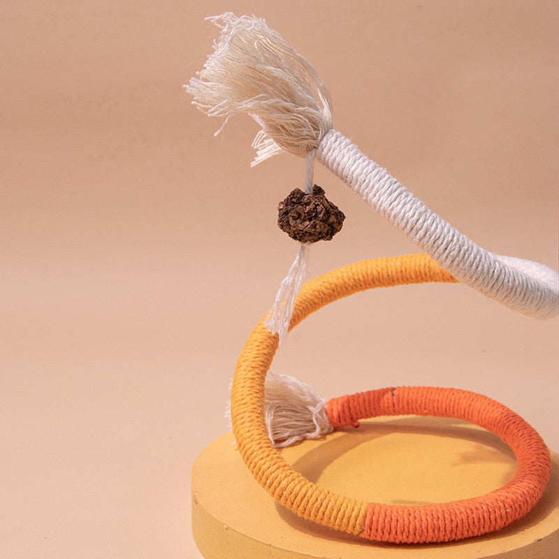Cat Bitting Rope Toy with Catnip Fruit Chasing Toy