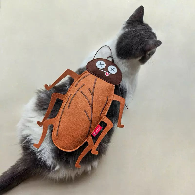 Realistic Cockroach Catnip Toy – Fun & Entertaining for Cats