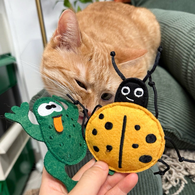 Tali Felt Catnip Chasing Toy for Cat Bitting Cockroach Insects Pet Toy