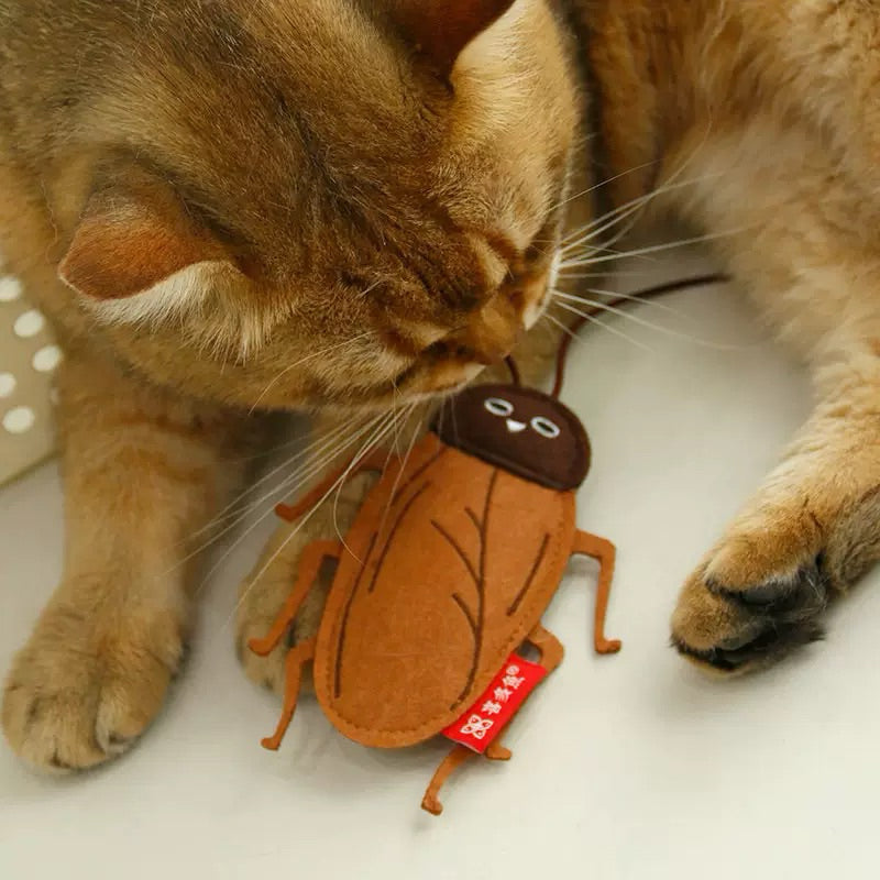 Realistic Cockroach Catnip Toy – Fun & Entertaining for Cats