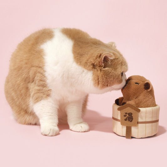 Purlab kapibara Cat catnip toy chaser bitting toy