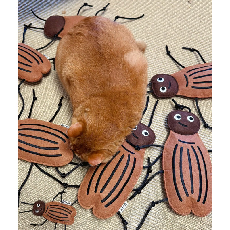 Tali Felt Catnip Chasing Toy for Cat Bitting Cockroach Insects Pet Toy
