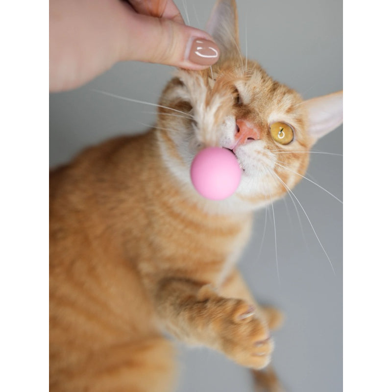 Tali Bouncing Ball with Feather Set of 3 Handmade Cat Chasing Toy