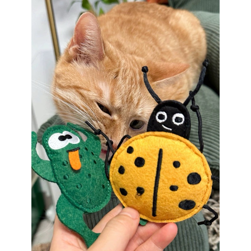 Tali Felt Catnip Chasing Toy for Cat Bitting Cockroach Insects Pet Toy