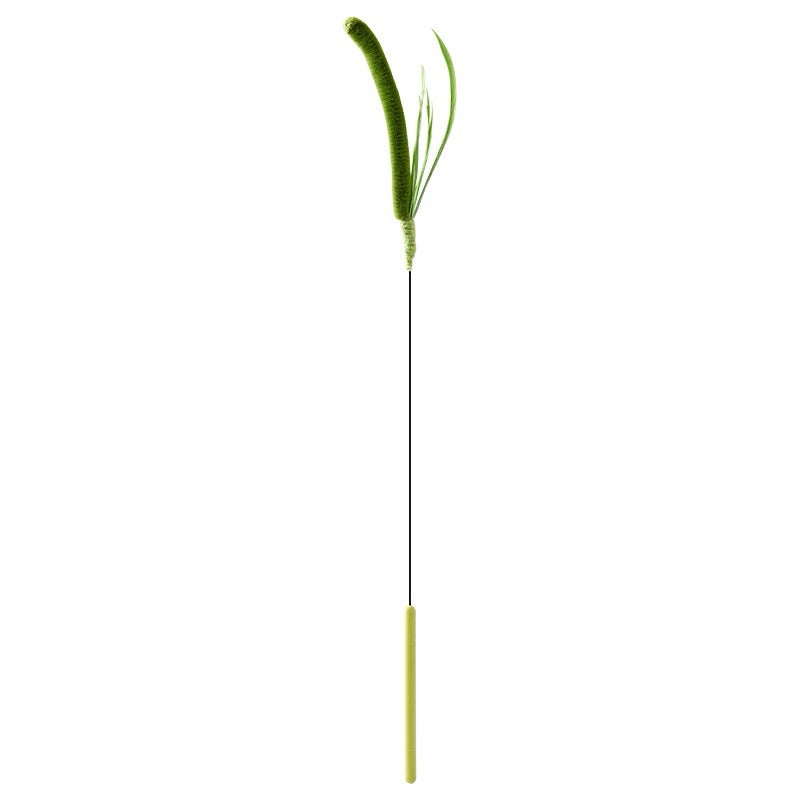 Setaria viridis Cat Teaser Dog tail grass Pet Toy