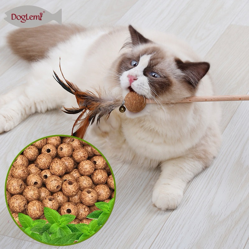 Natural Feather Cat Teaser Wand with Catnip Softwood Bell – Interactive Play and Dental Health Toy for Cats
