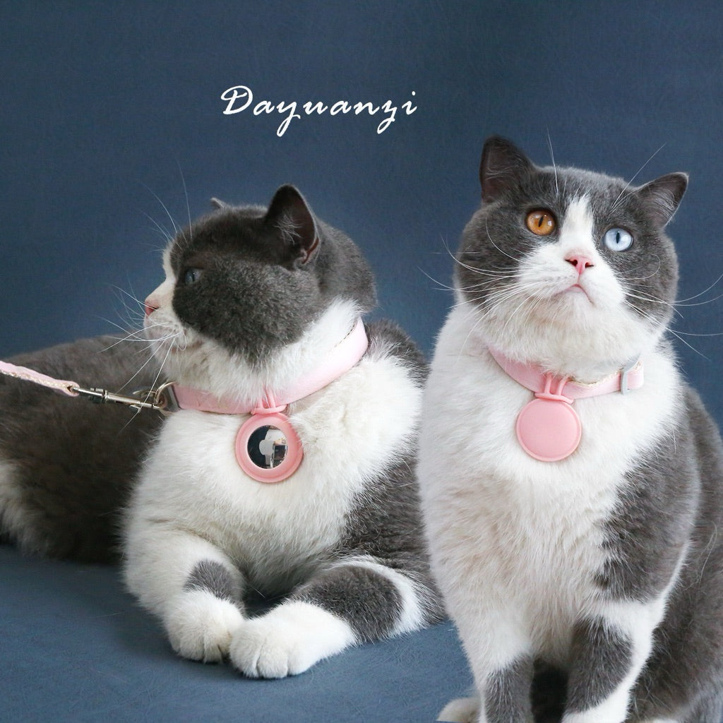 Dayuanzi AirTag Holder Collar for Pet Cat Dog Puppy Leash Necklace