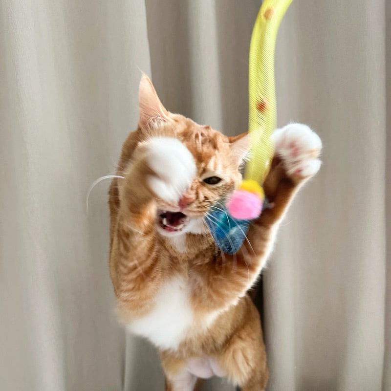 Cat Teaser Bouncing Net Series Pet Toy Chaser Stick Wand