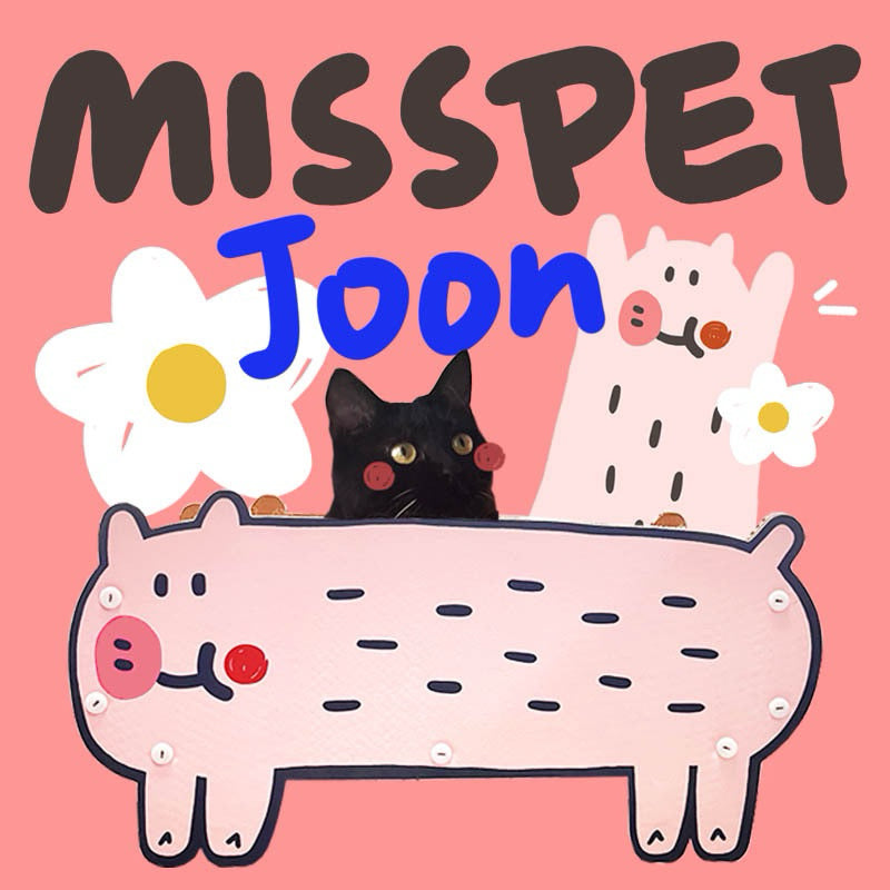 Misspet Joon Cat Scratcher Bed Pet Toy Piggy Kitten House