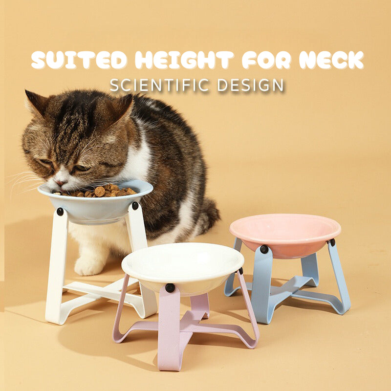 Cat Eating Ceramic Bowl Feeder with Metal Rack Two Height