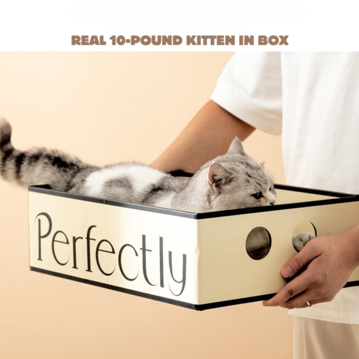 Classic Cat Simple Can Scrarcher Box Cardboard Scratch Rectangle Bed