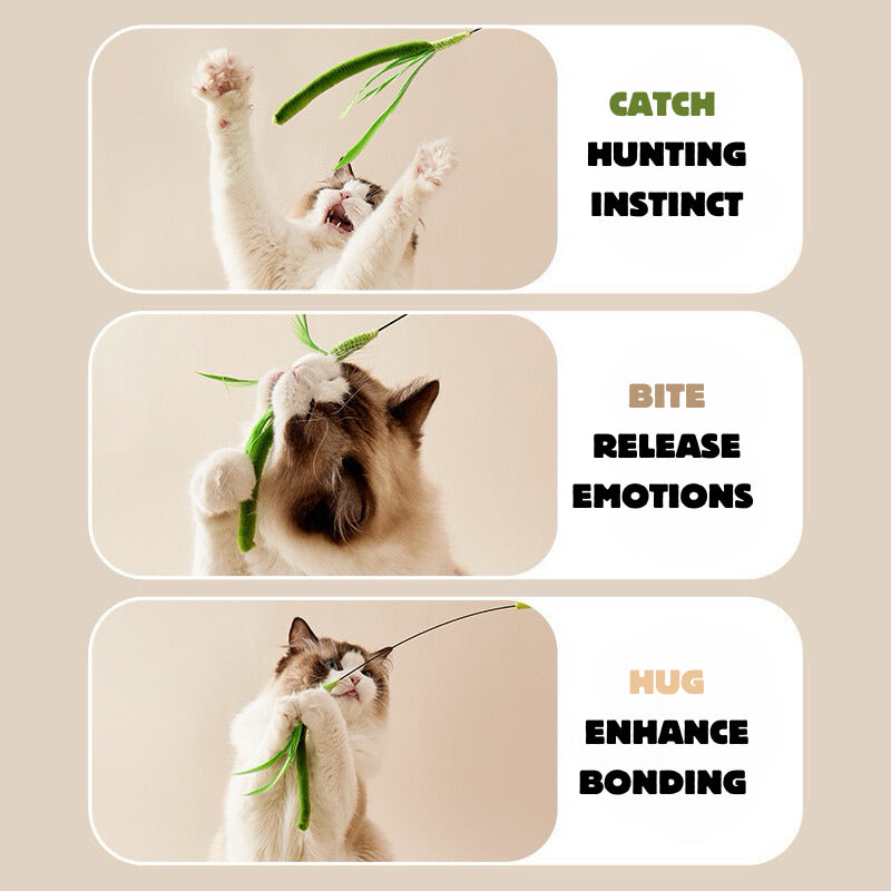 Setaria viridis Cat Teaser Dog tail grass Pet Toy