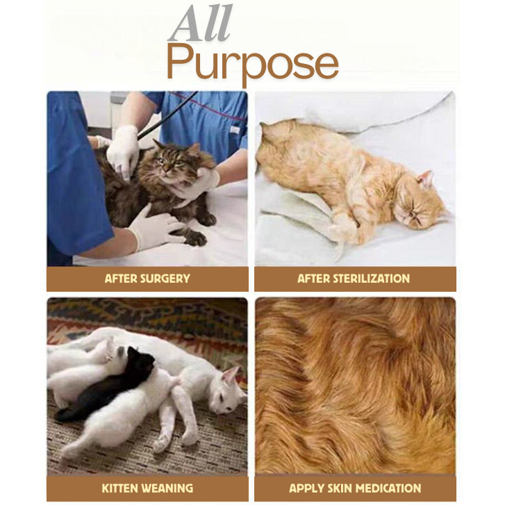 [SG] Pet Cat surgery suit cloth for recovery from sterilization skin issue prevent licking