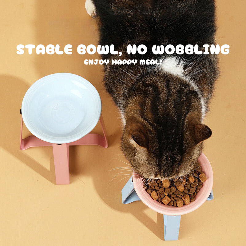 Cat Eating Ceramic Bowl Feeder with Metal Rack Two Height