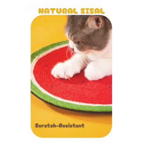 [SG stock] Cat scratch board carrot cactus sisal watermelon pet toy