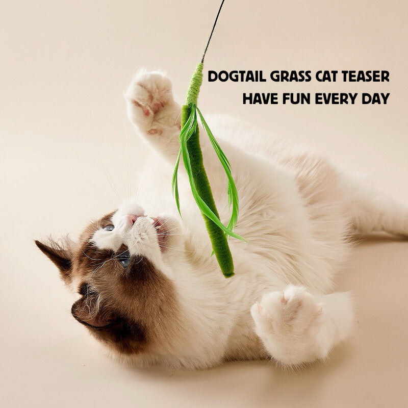 Setaria viridis Cat Teaser Dog tail grass Pet Toy