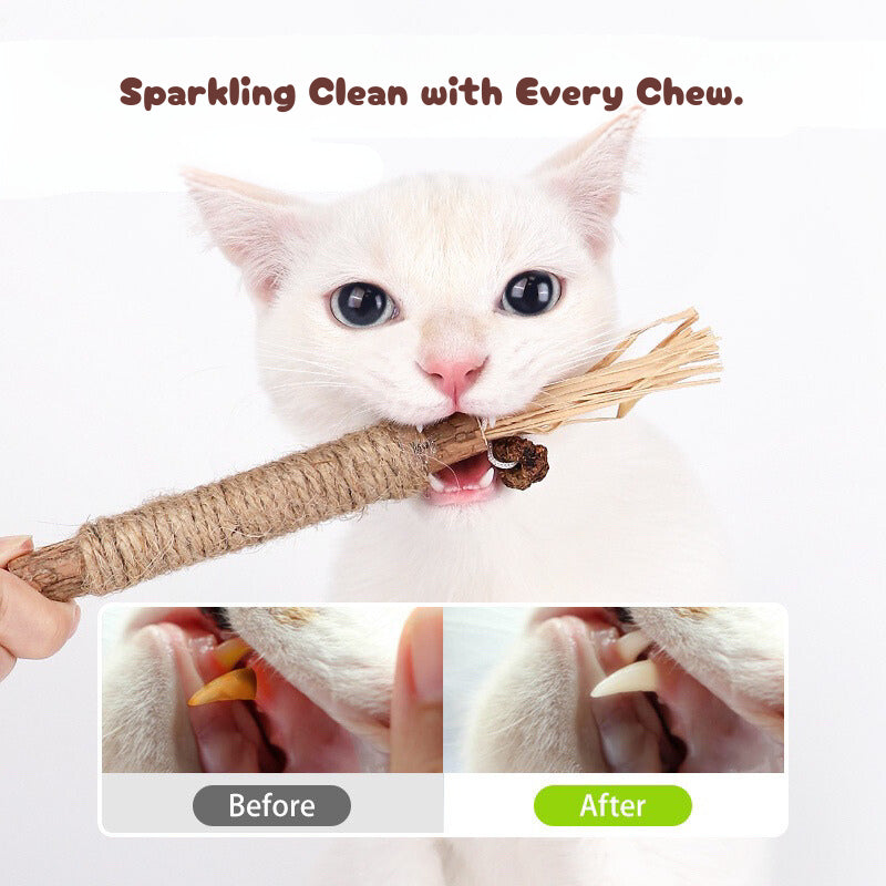 Catnip Catmint bitting bar cat toy sisal raffia teaser chaser stick