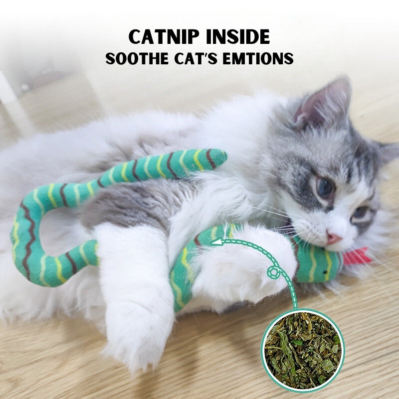 Cat toy snake teaser with catnip
